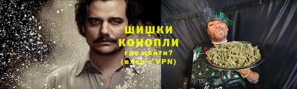 MESCALINE Аркадак