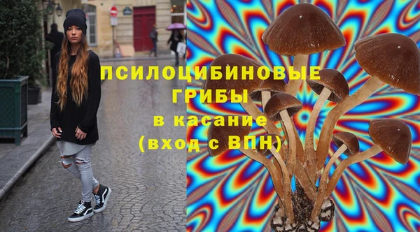 мескалин Арсеньев